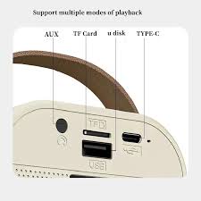 KIDS BLUETOOTH SPEAKER SYSTEM WITH 1 WIRELESS MIC (ORIGINAl)